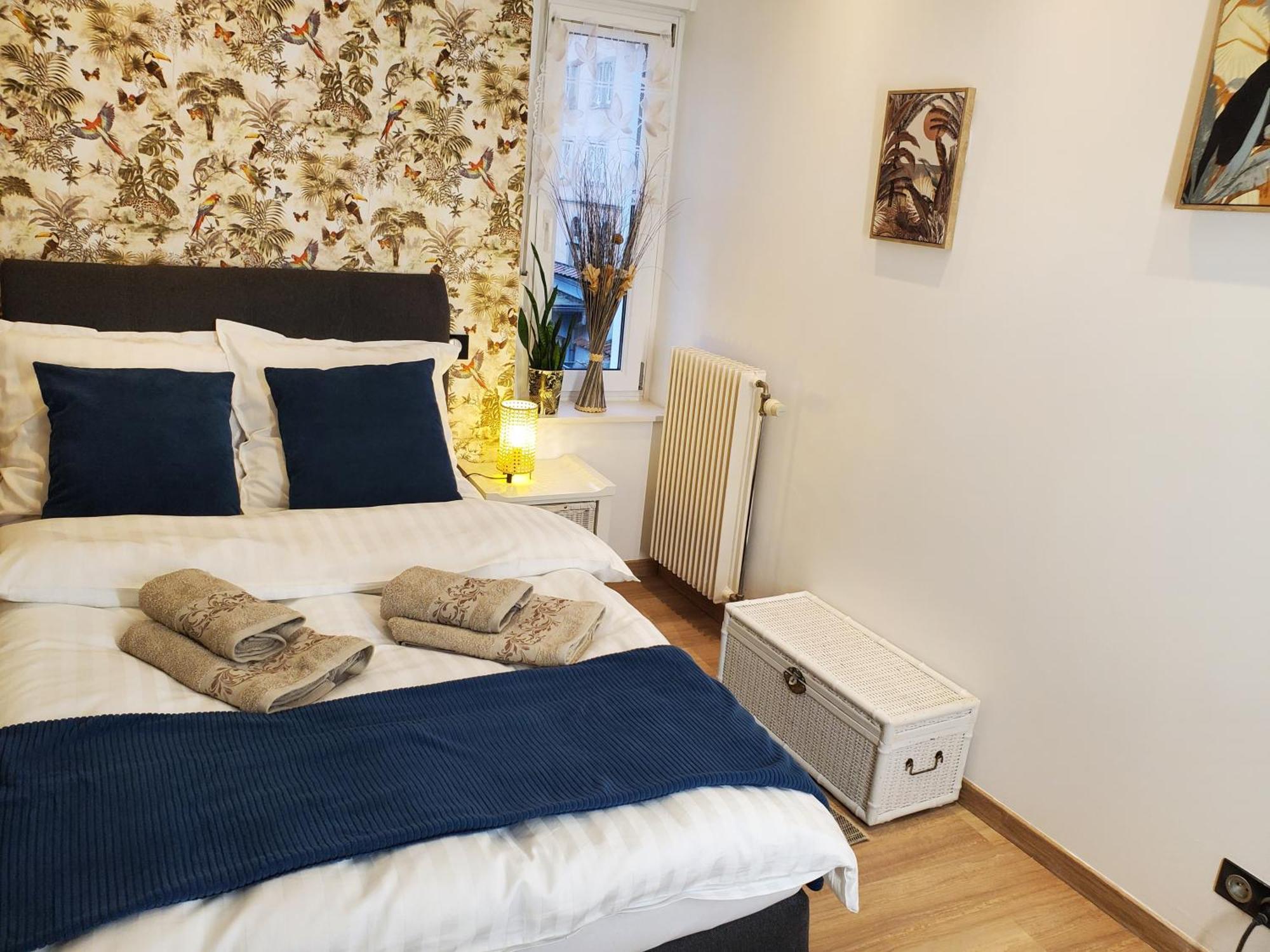 Mirka & Franck Apartment Chic 4" Stars Parking Free, Garage & Wine With Avantages Pack Colmar Buitenkant foto